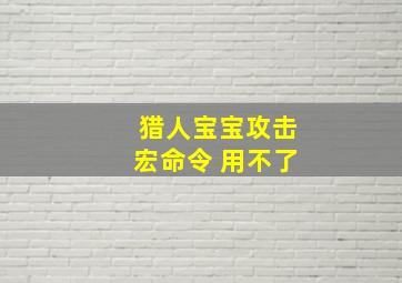 猎人宝宝攻击宏命令 用不了